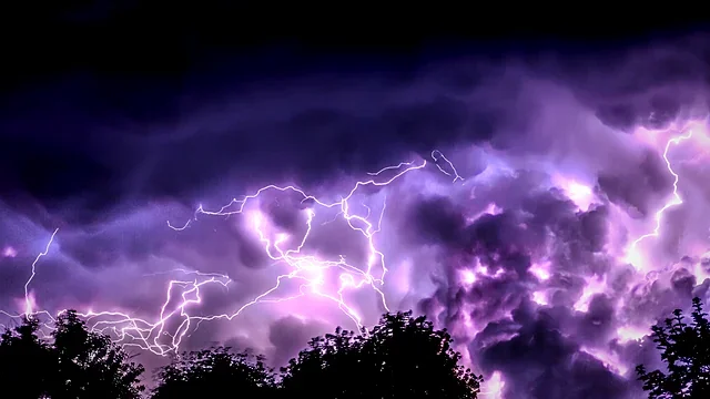 Violet lightning branching across a dark night sky
