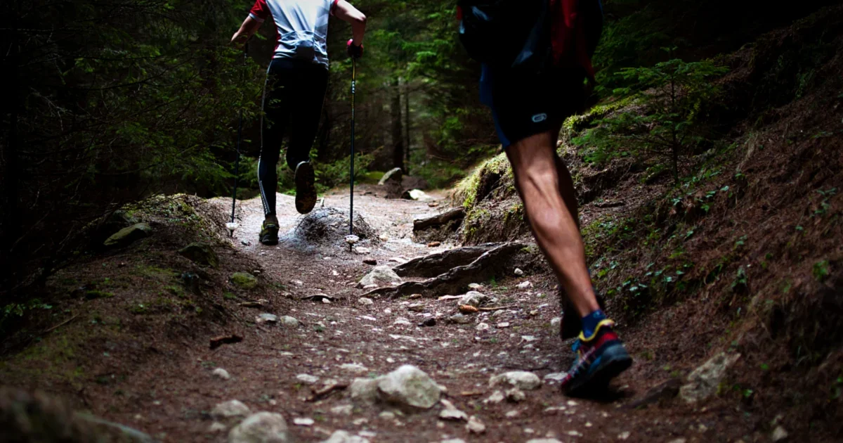 Runners on a forest trail