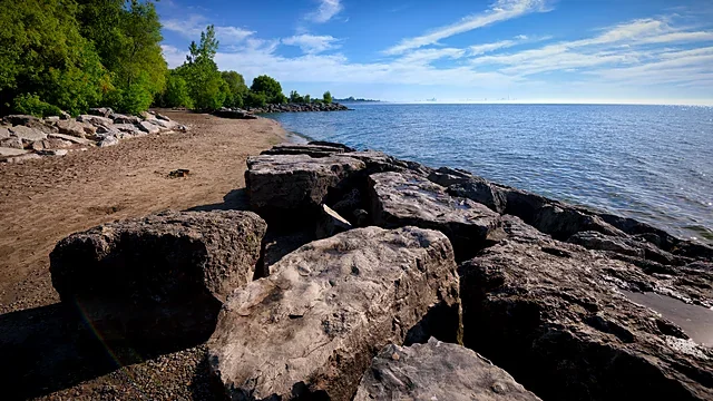 Rocky coastline with trees under a calm sky