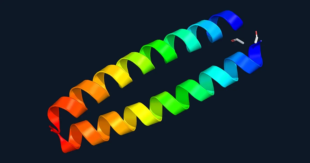Ribbon render of a GCN4 leucine-zipper coiled coil (PDB 2ZTA)
