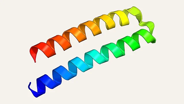 Ribbon render of the ROP protein helix-loop-helix hairpin (PDB 1ROP)