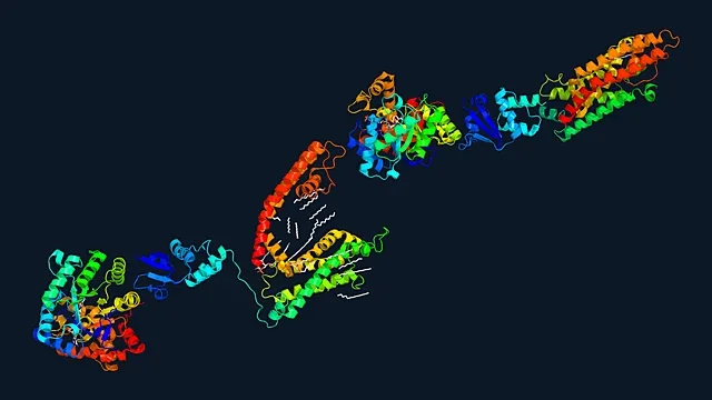 Ribbon render of a voltage-gated potassium channel assembly (PDB 2R9R)