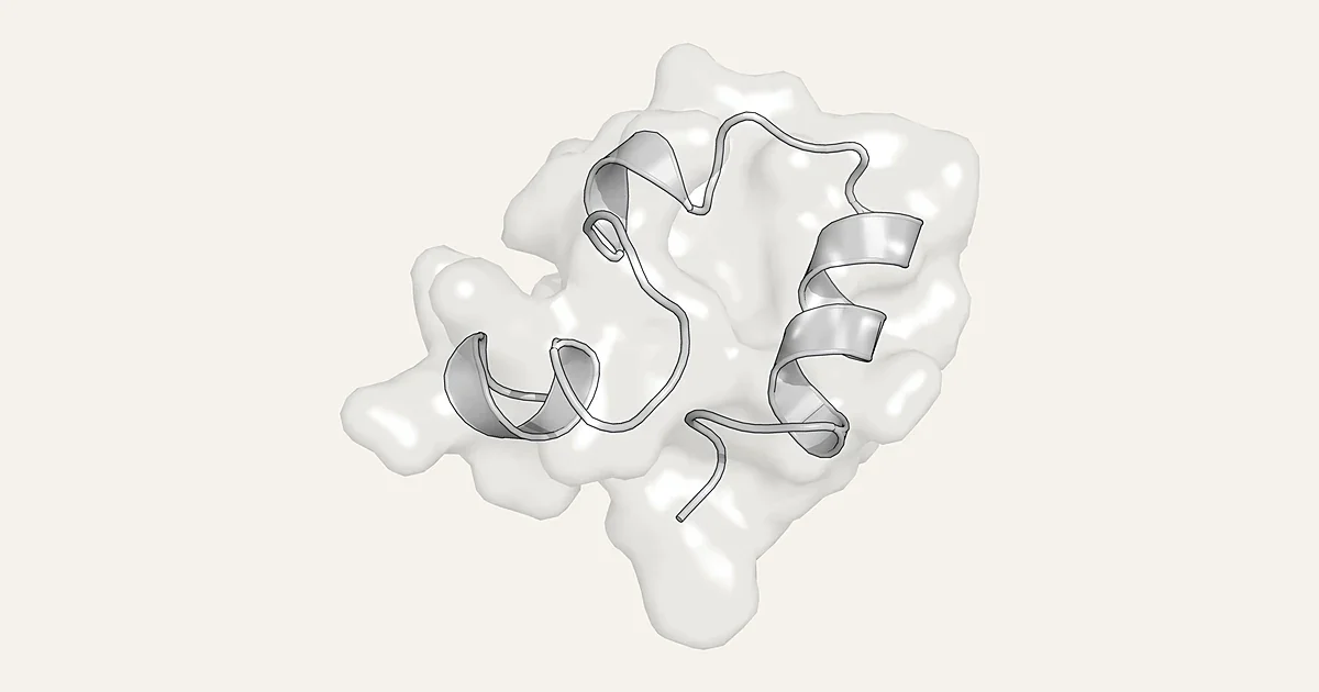 Ribbon render of the villin headpiece miniprotein in a translucent surface (PDB 1VII)