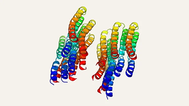 Side-view ribbon render of the ten-subunit c-ring of yeast ATP synthase (PDB 4F4S)