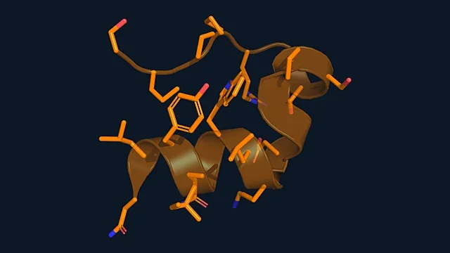 Stick and ribbon render of the 20-residue Trp-cage miniprotein (PDB 1L2Y)