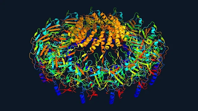 Ribbon render of the outer membrane core complex of a bacterial type IV secretion system (PDB 3JQO)