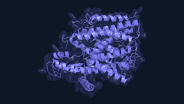 Ribbon render of the SecY protein-conducting channel (PDB 1RHZ)