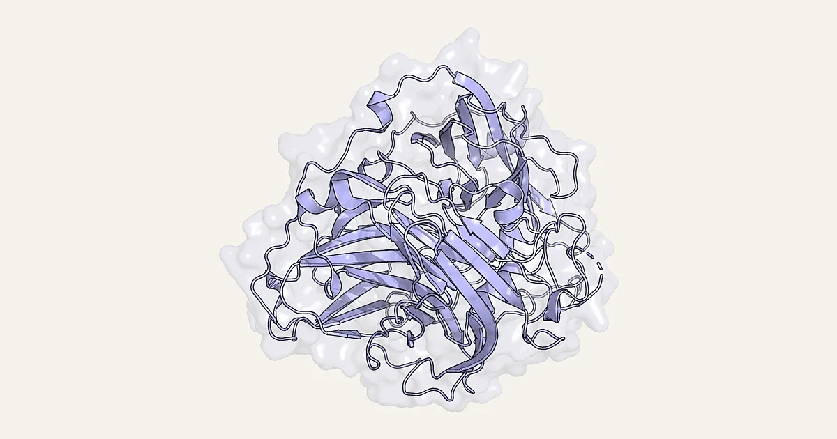 Ribbon render of the bacterial laccase CotA (PDB 1GSK)