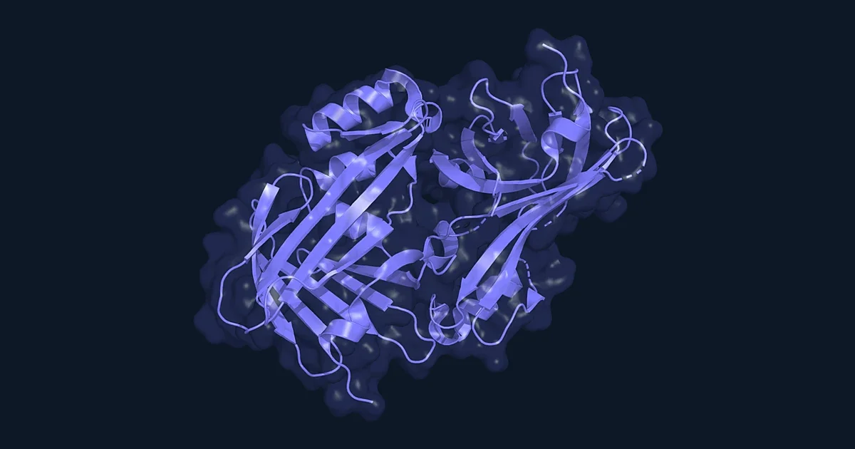 Ribbon render of the NanoLuc luciferase (PDB 5IBO)