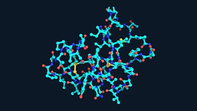 Ball-and-stick render of the small protein crambin (PDB 1CRN)