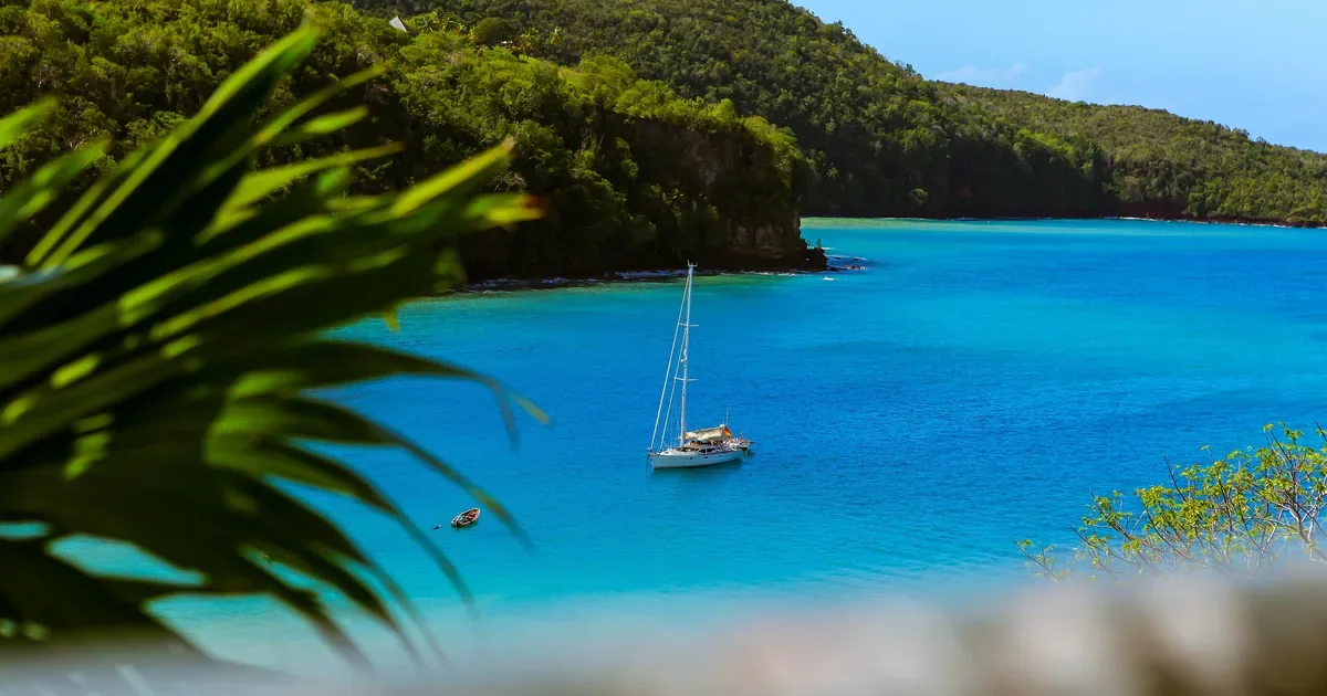 White yacht anchored in turquoise tropical water framed by green leaves
