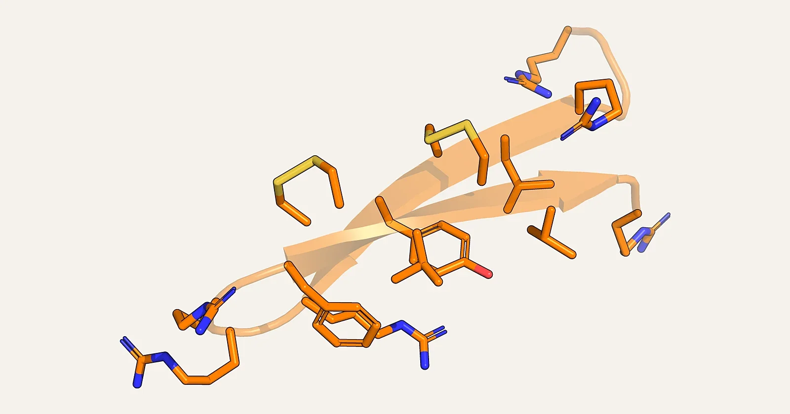 Stick and ribbon render of the beta-hairpin antimicrobial peptide protegrin-1 (PDB 1PG1)