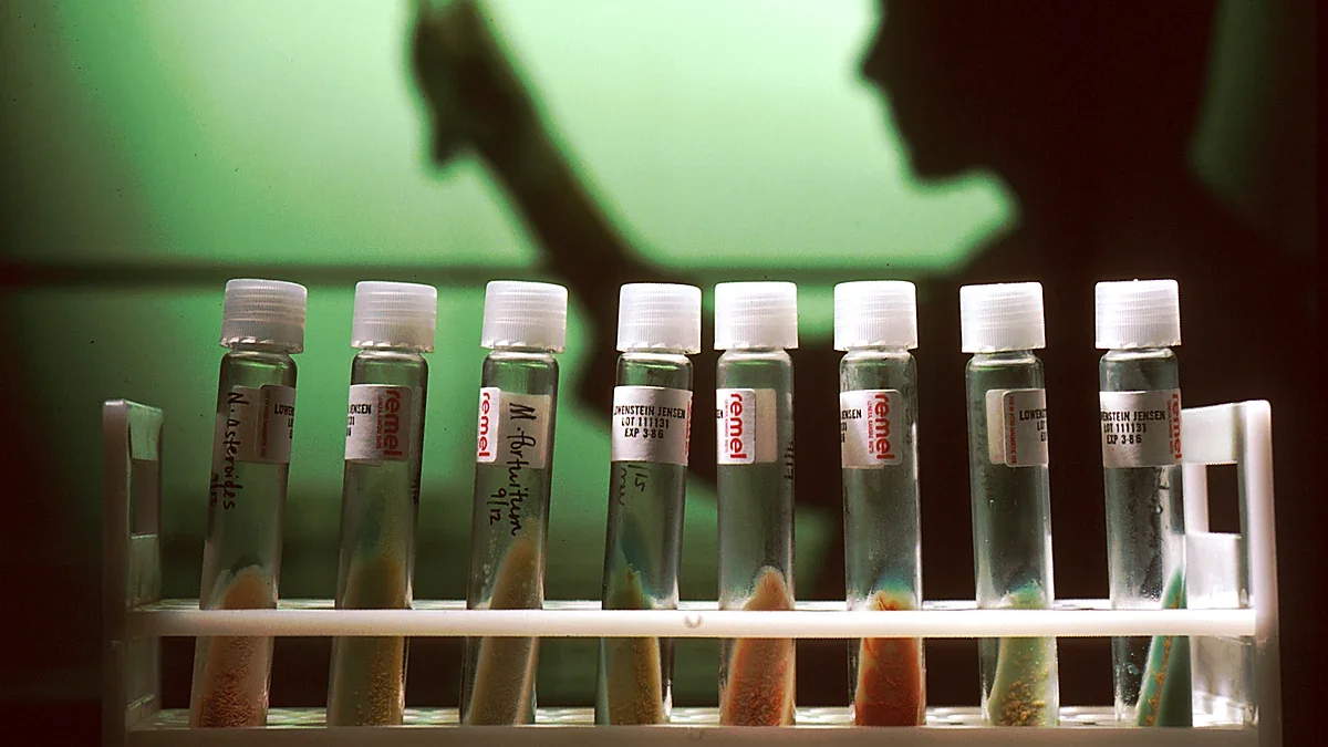 Rack of glass test tubes backlit in a laboratory