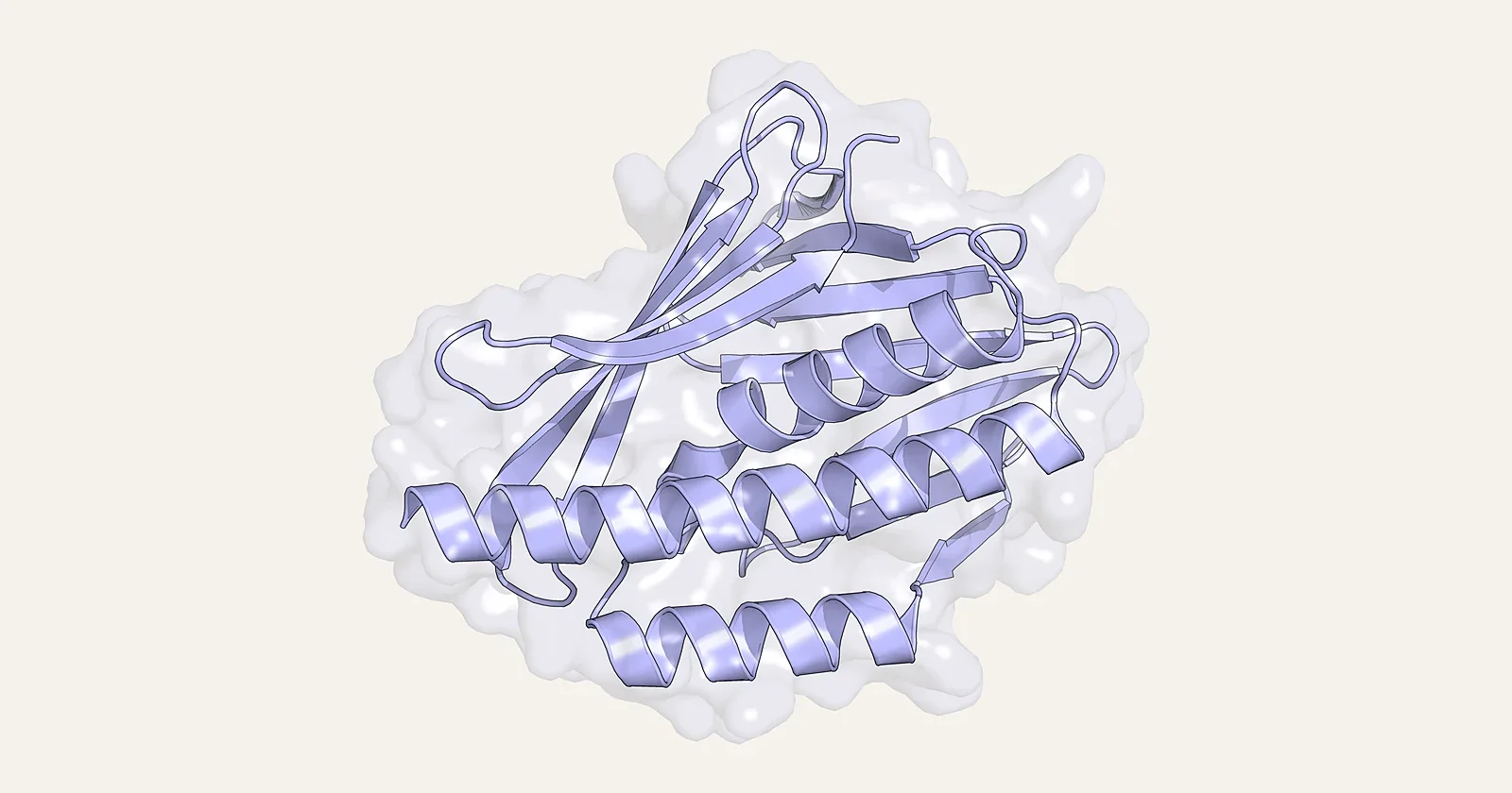 Ribbon render of the de novo designed cysteine protease Dokki-15 inside a translucent surface (PDB 9YNM)