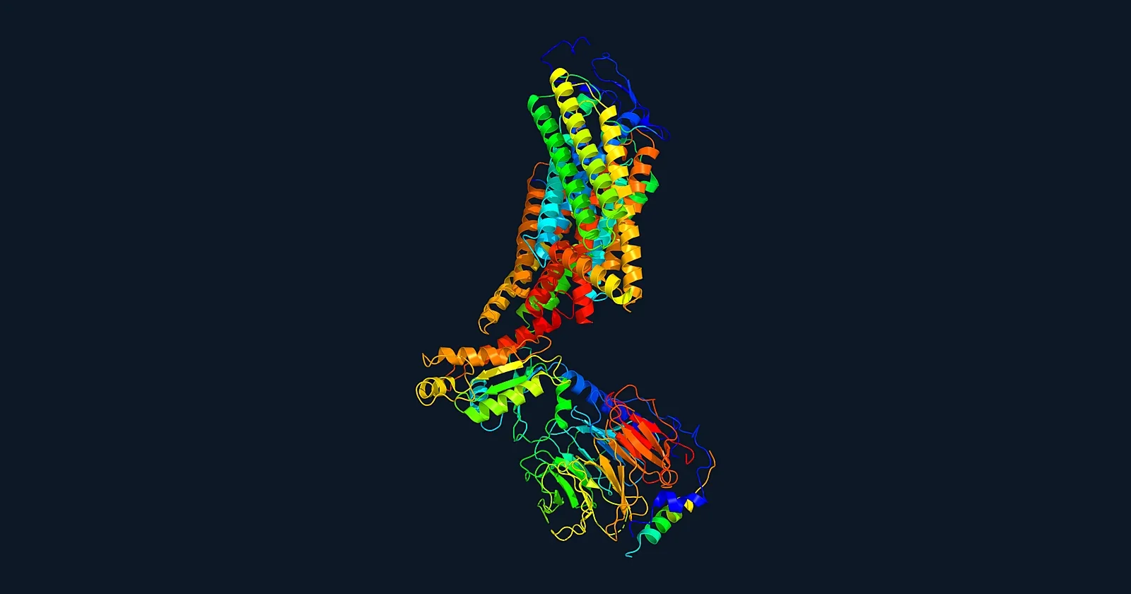 Ribbon render of the yeast Ste2 G-protein-coupled receptor dimer coupled to two heterotrimeric G proteins (PDB 7AD3)