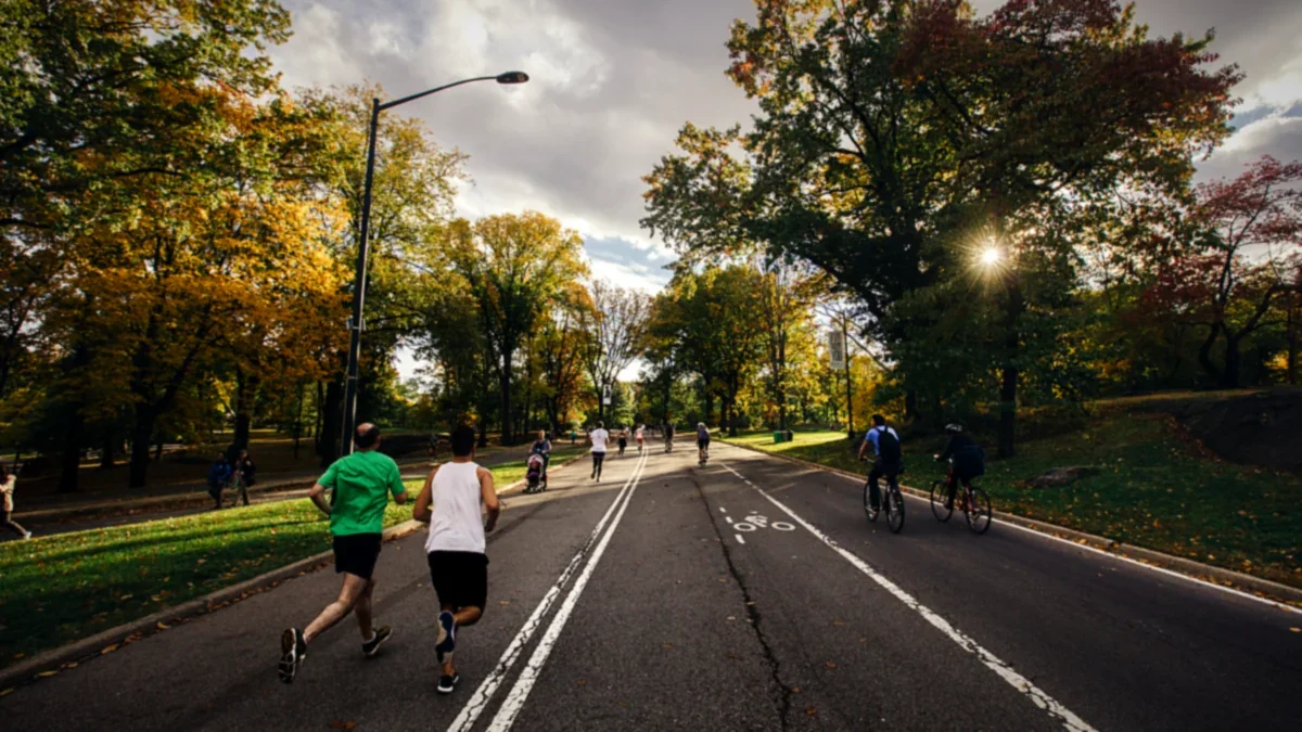 Runners and cyclists moving along a sunlit city street