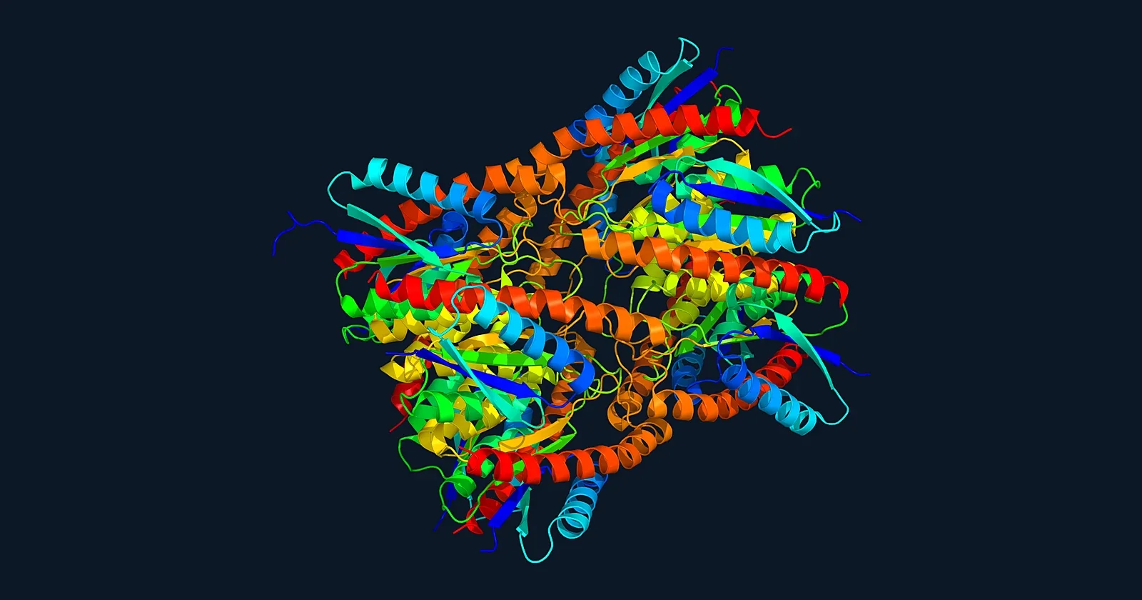 Ribbon render of the ten-chain lumazine synthase RibH2 protein assembly (PDB 2OBX)