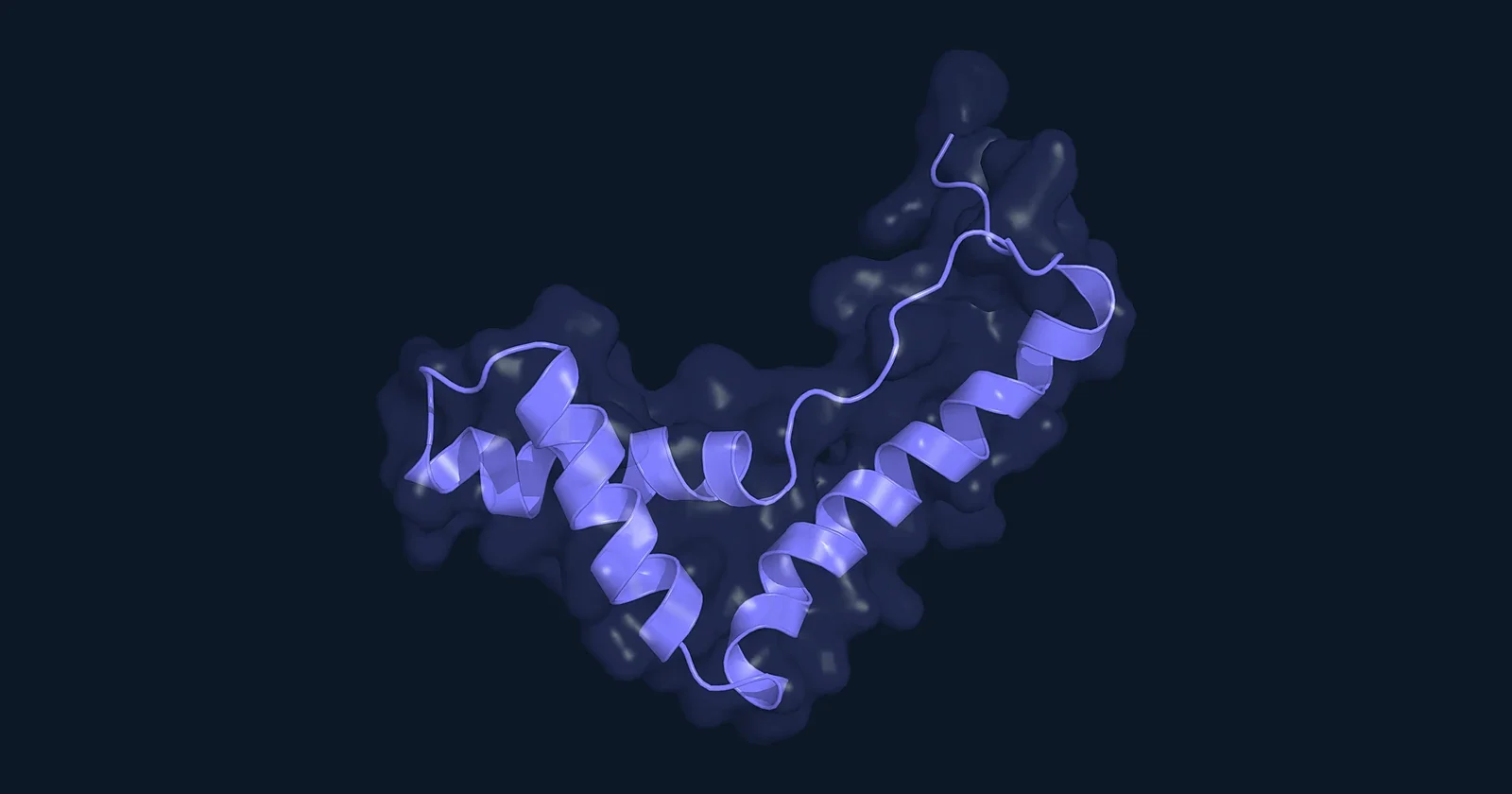 Ribbon render of the DNA-binding HMG domain of HMGB1 inside a translucent surface (PDB 1HME)