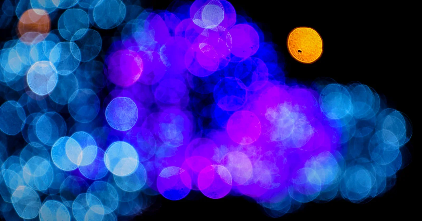 Cluster of glowing blue and violet light orbs on a dark background