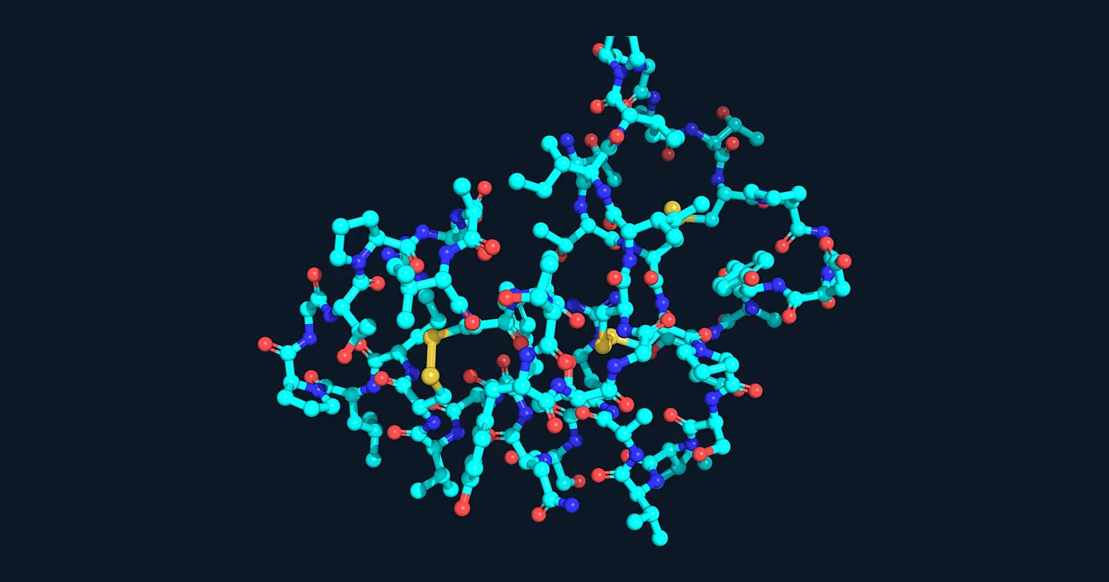Ball-and-stick render of the small protein crambin (PDB 1CRN)
