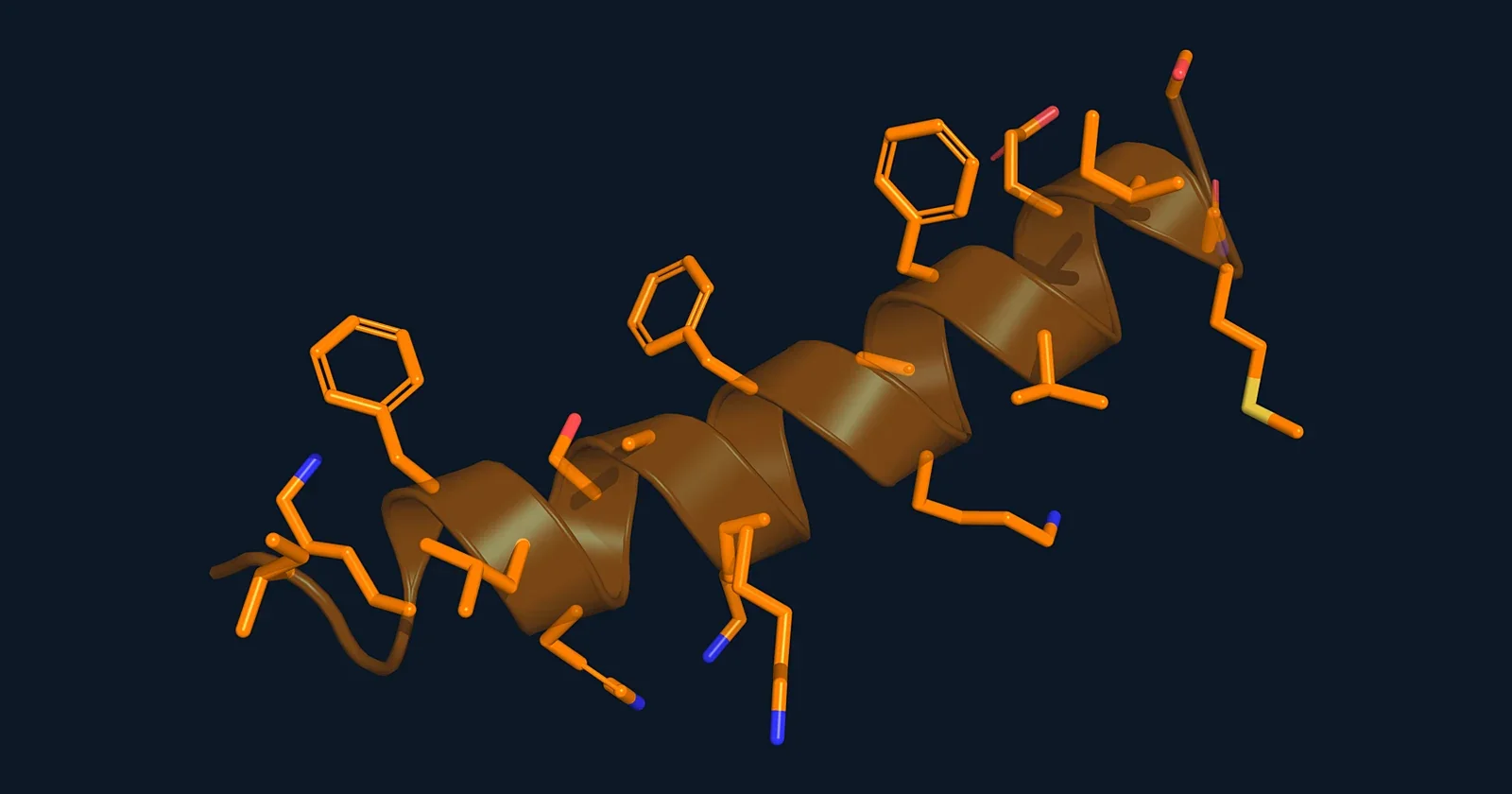 Stick and ribbon render of the antimicrobial peptide magainin 2 (PDB 2MAG)