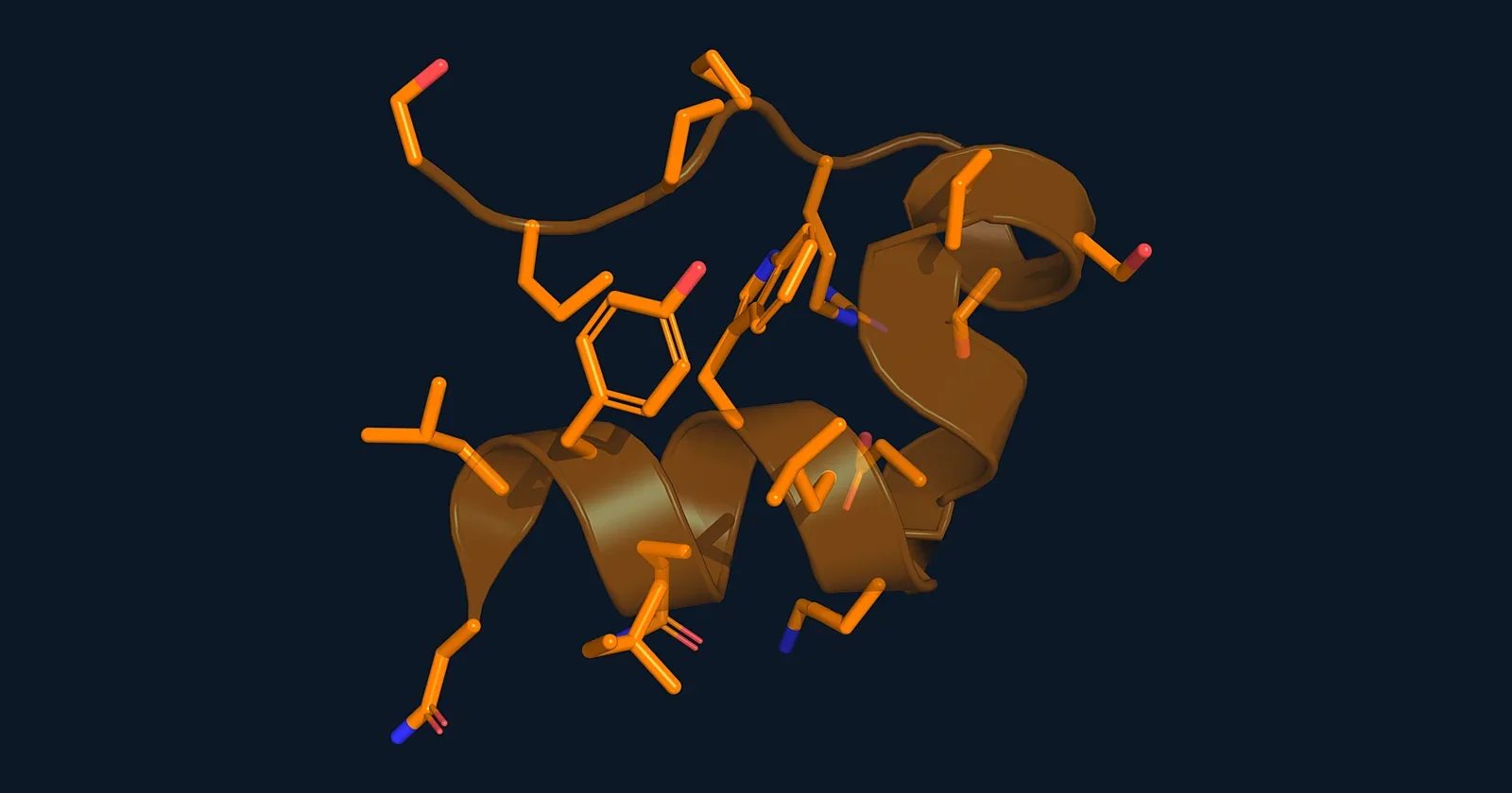 Stick and ribbon render of the 20-residue Trp-cage miniprotein (PDB 1L2Y)