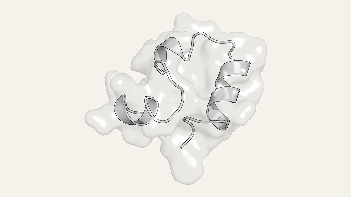 Ribbon render of the villin headpiece miniprotein in a translucent surface (PDB 1VII)
