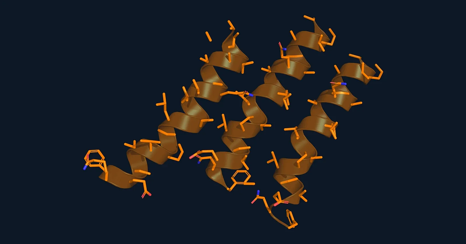 Stick and ribbon render of three alamethicin peptaibol helices (PDB 1AMT)