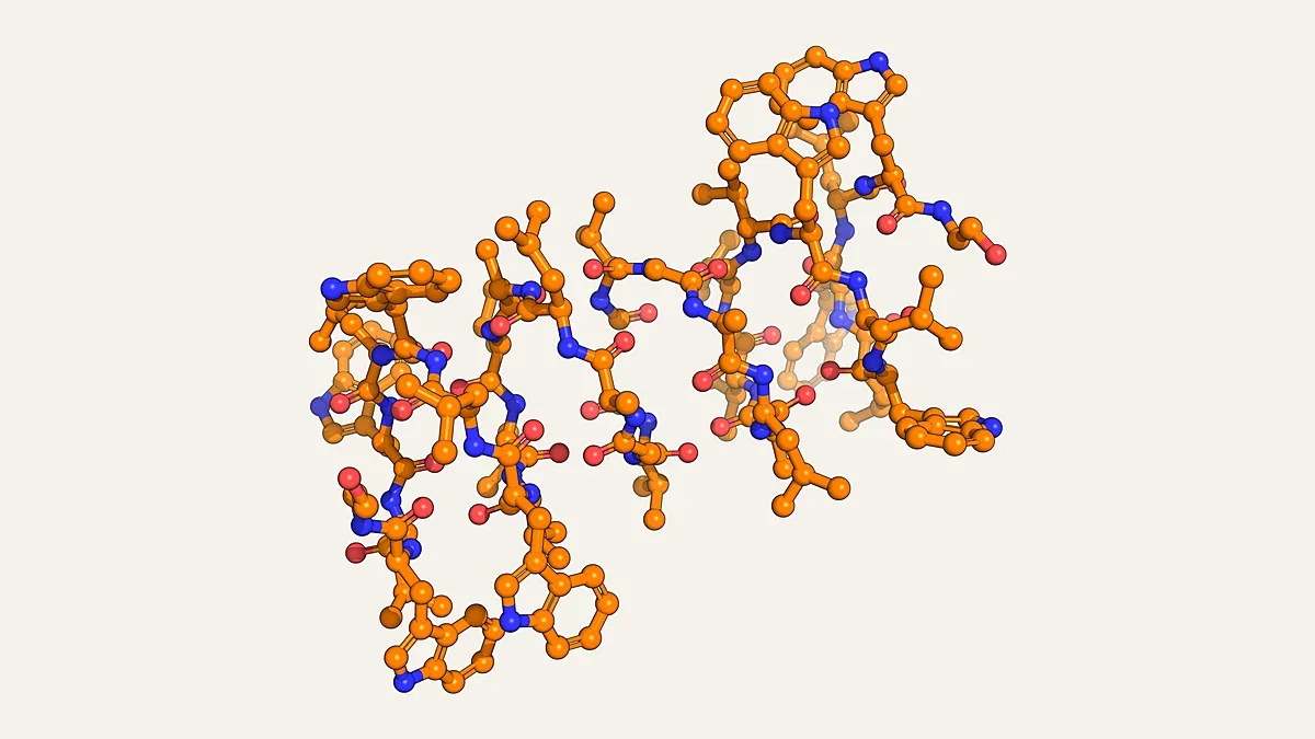 Ball-and-stick render of the gramicidin A peptide channel (PDB 1MAG)