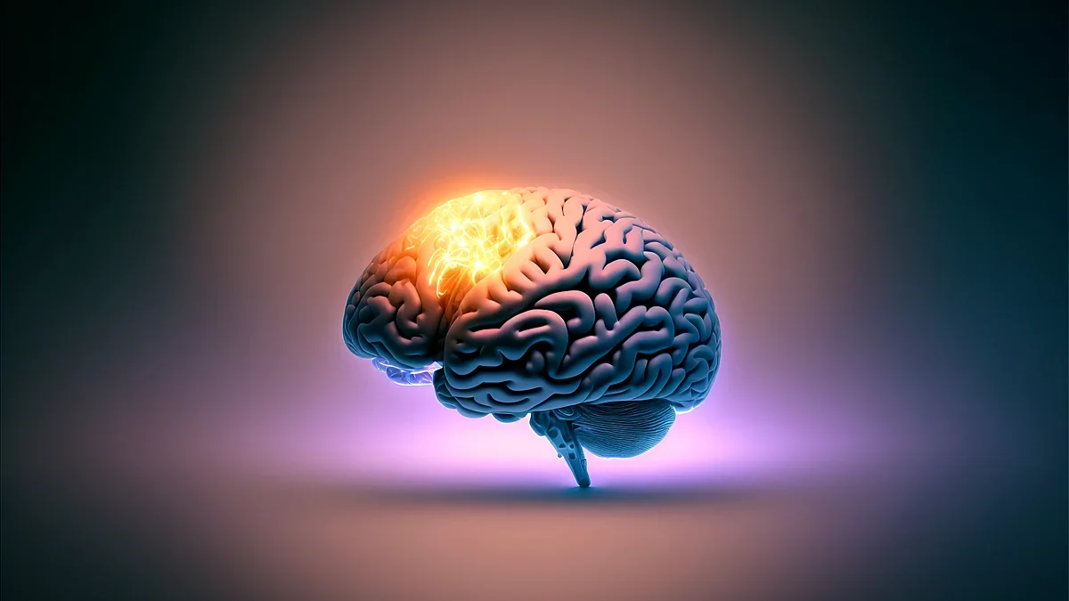 Brain render lit in warm orange light against a dark backdrop