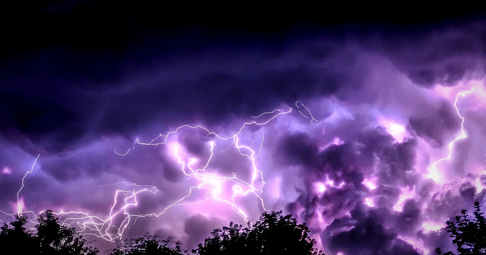 Violet lightning branching across a dark night sky