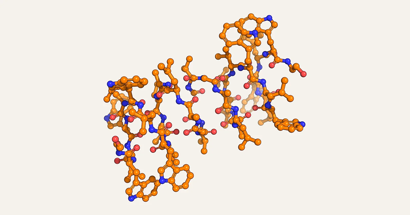 Ball-and-stick render of the gramicidin A peptide channel (PDB 1MAG)